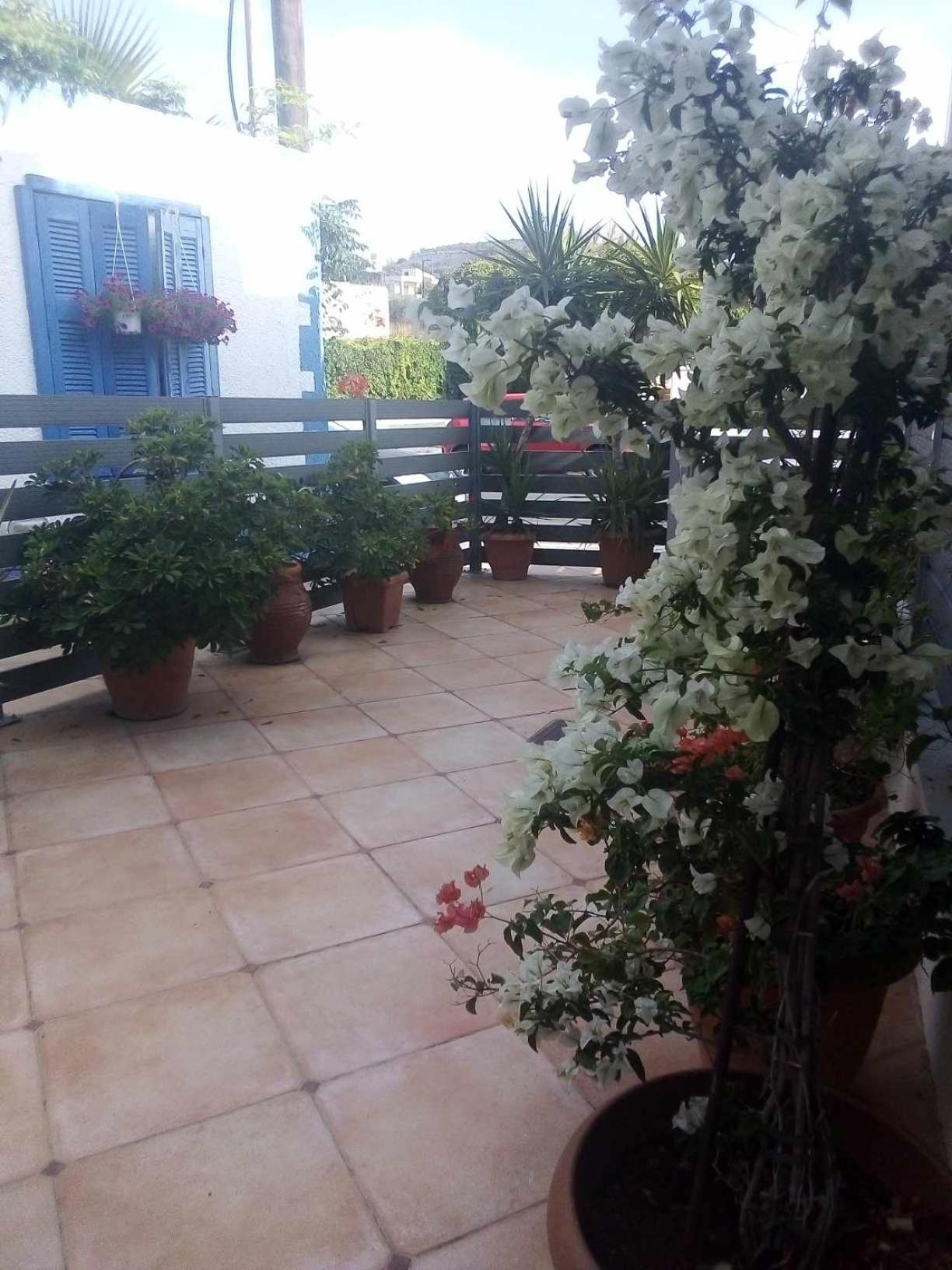 Agia MarinaThe Getaway公寓 外观 照片